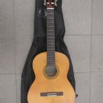 665 1651 Gitarr